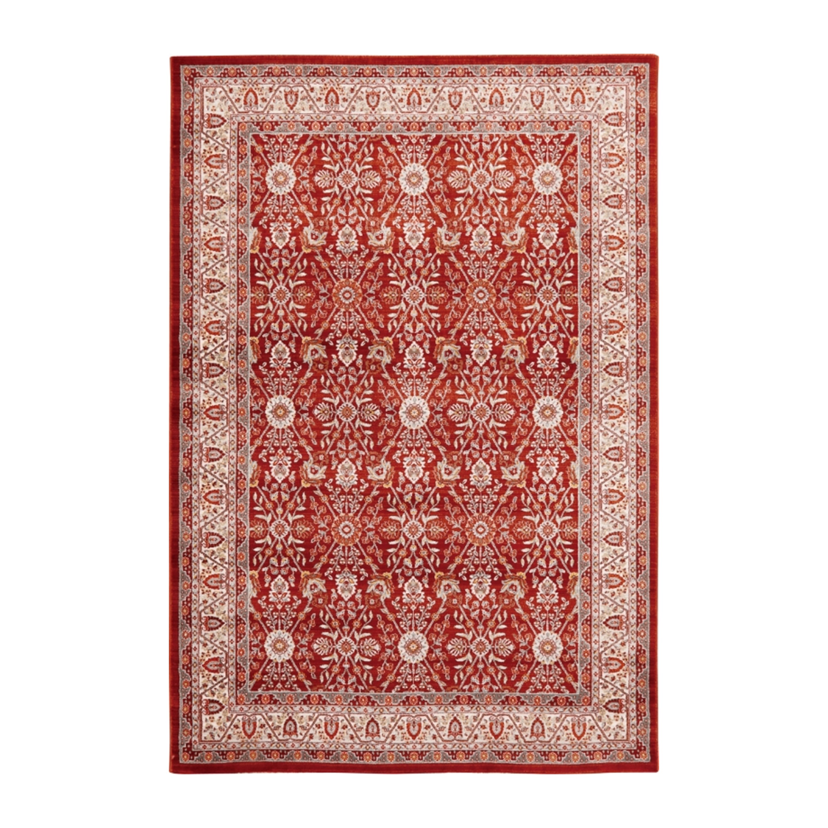 oriental basic　バスク